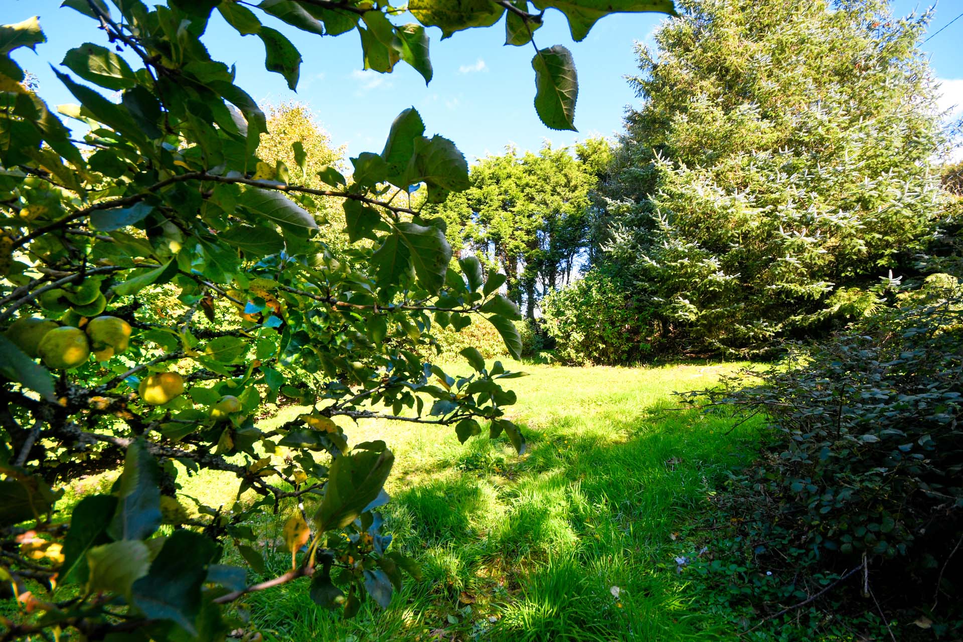  orchard at brade union hall 