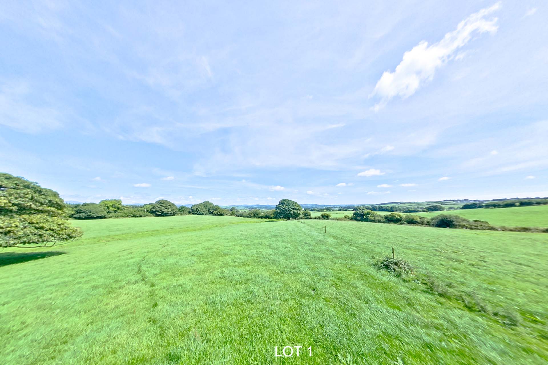 Grassland at Cloghboola