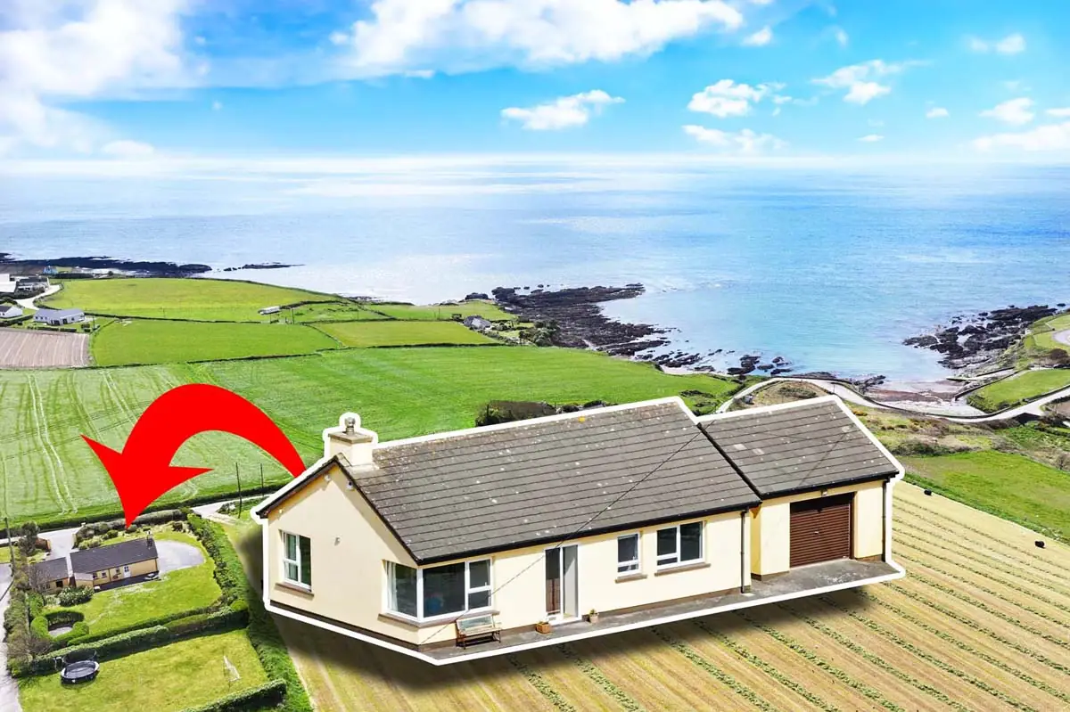 Previous transaction 03