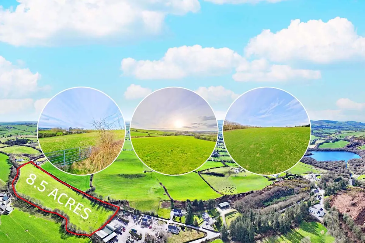 Previous transaction 05