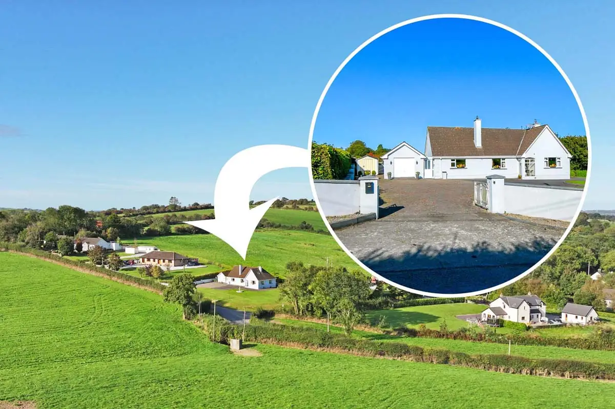 Previous transaction 09