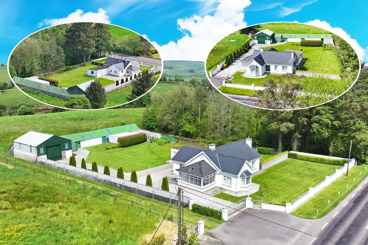 Previous transaction 15