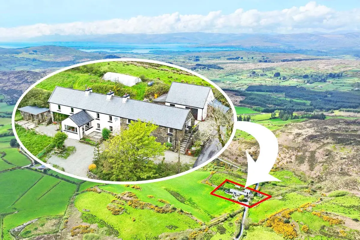 Previous transaction 17