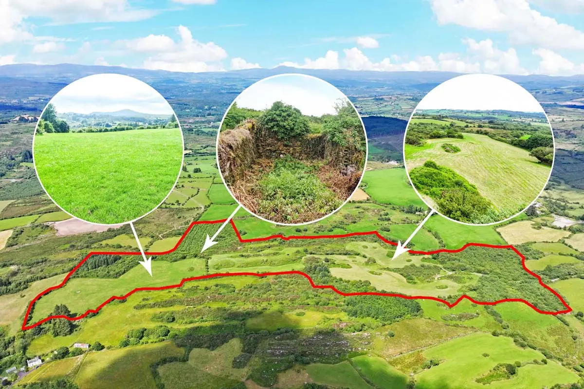 Previous transaction 19