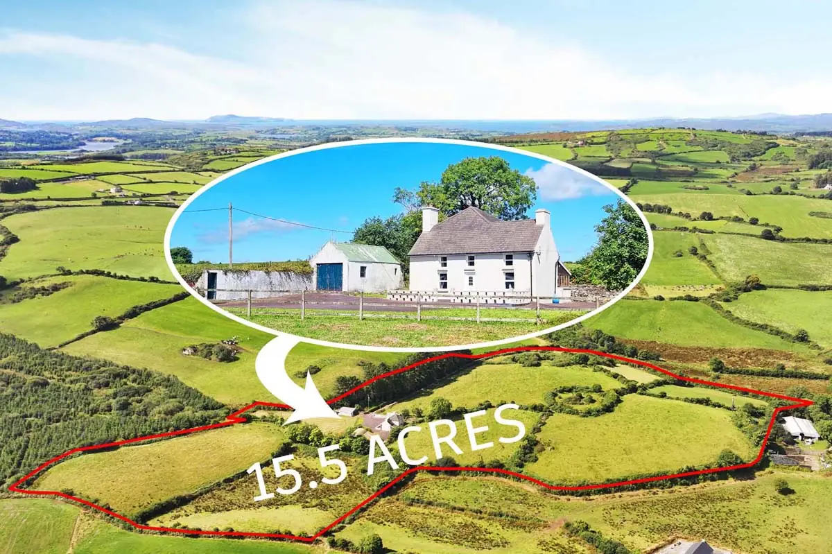 Previous transaction 23