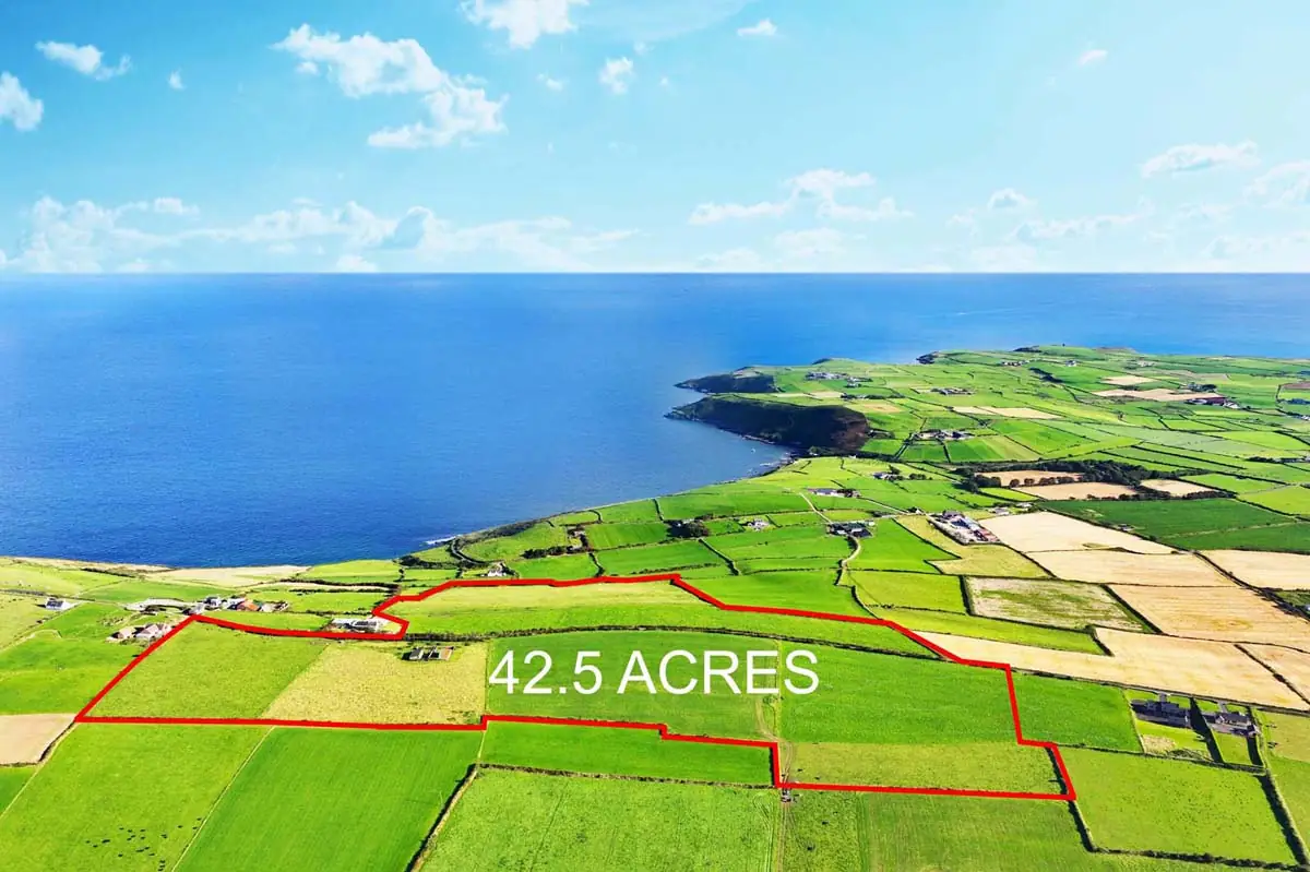 Previous transaction 37