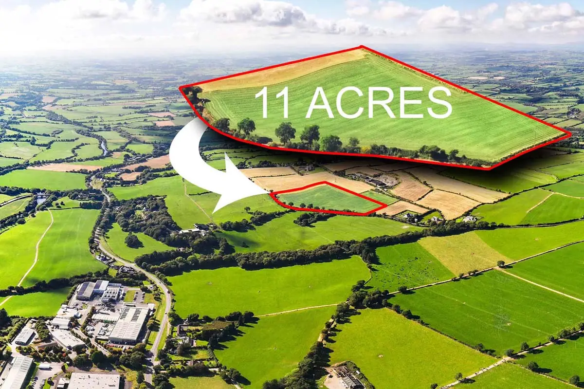 Previous transaction 39