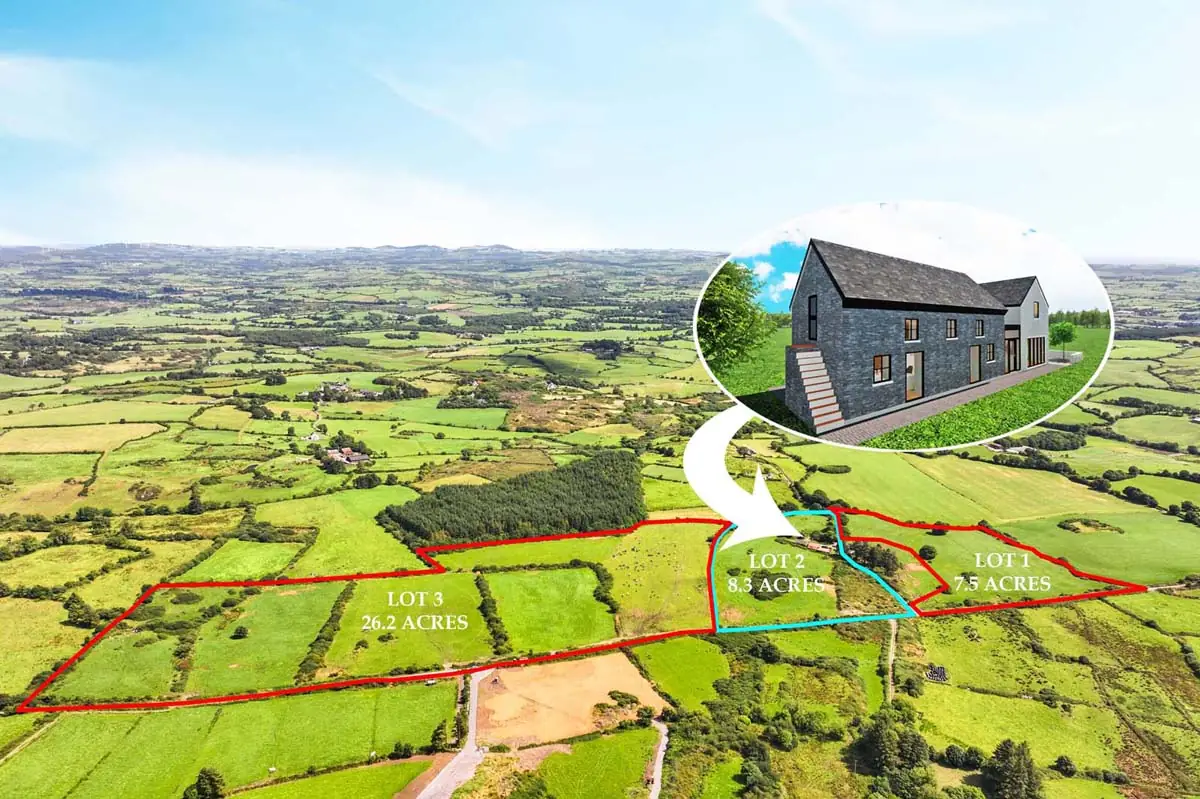 Previous transaction 40