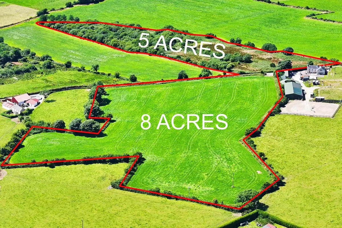 Previous transaction 42