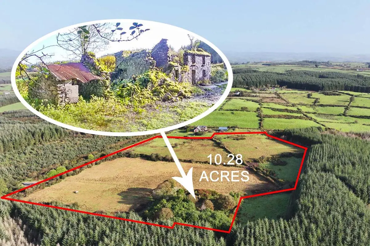 Previous transaction 43