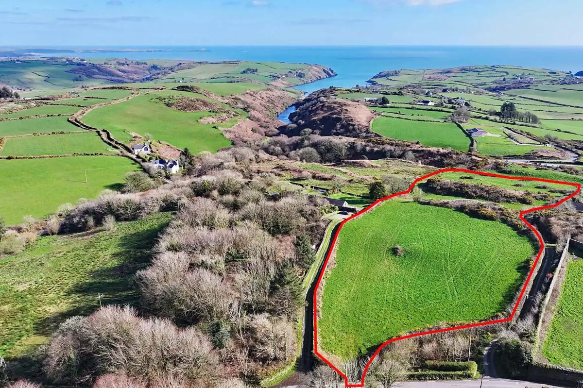 Previous transaction 45