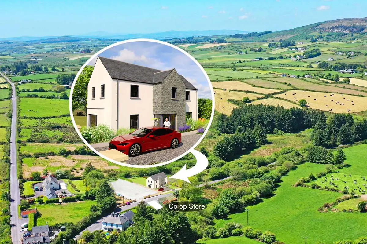 Previous transaction 50