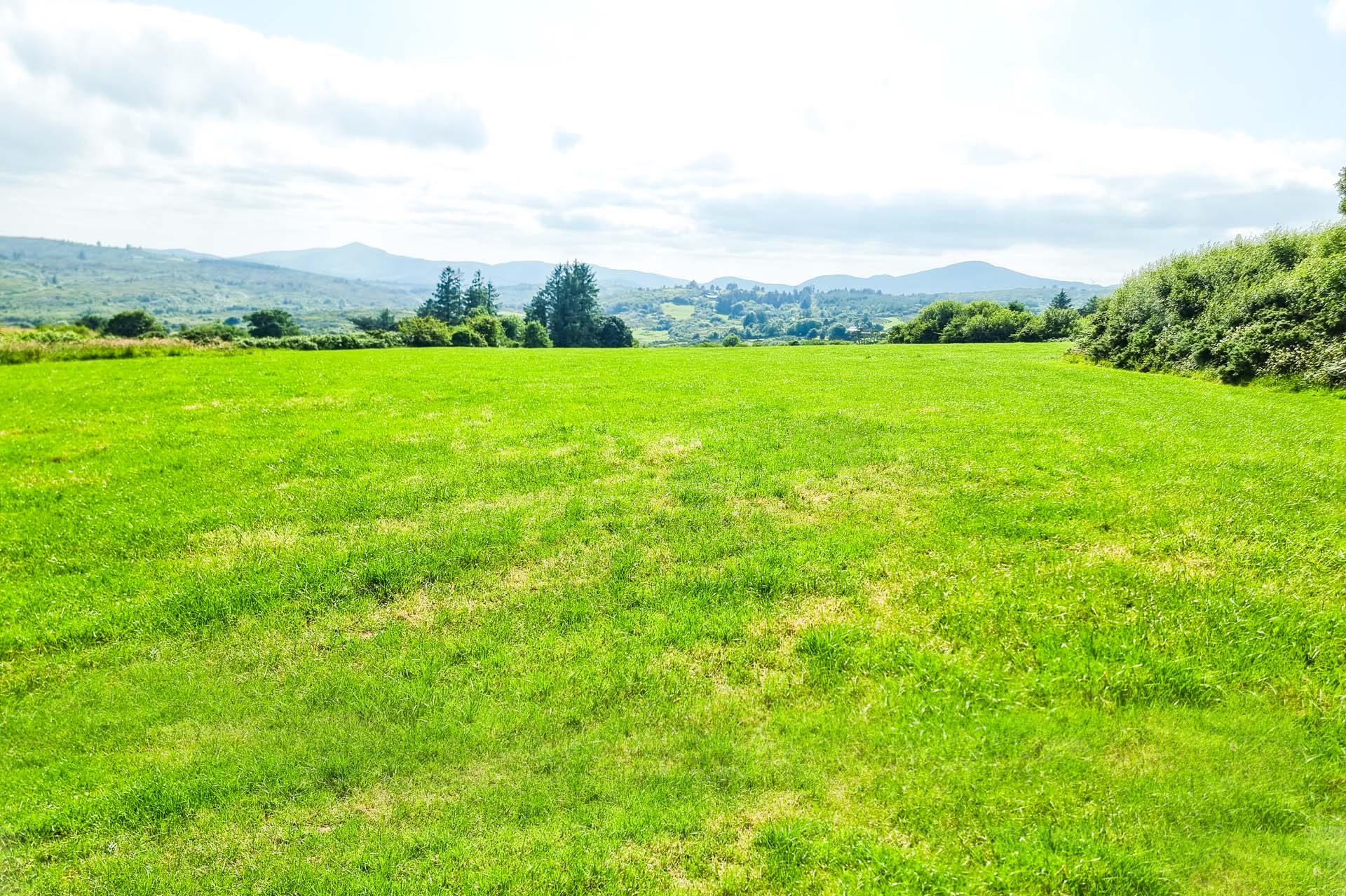  Farm at Inchincurka 