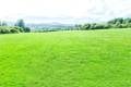 10_Western Paddock