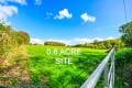 08 site