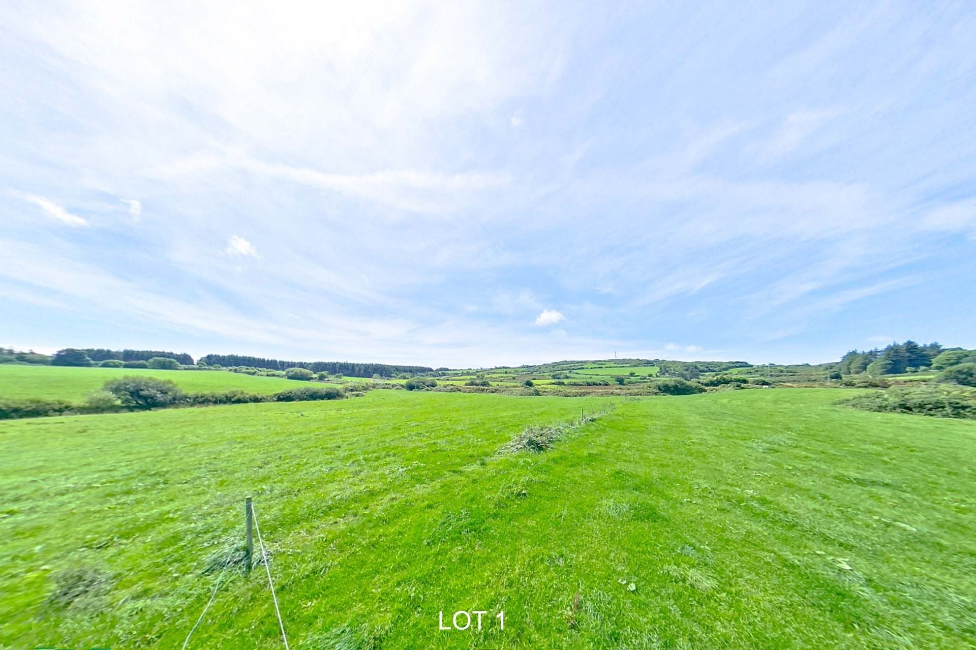 12 lot 1